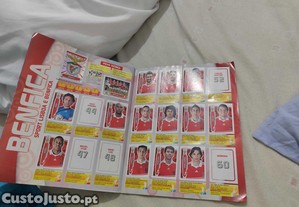 imagem_6