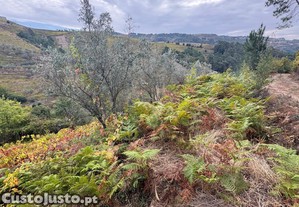 Quinta em Sedielos, Peso da Régua