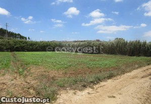 Terreno Agrícola De 5920 M2 Em Vale Verde,...