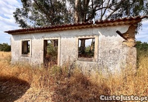 Moradia Para Recuperar Em Terreno Com Cerca De...
