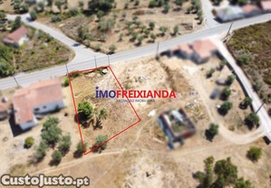 imagem_3