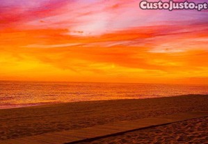 imagem_17