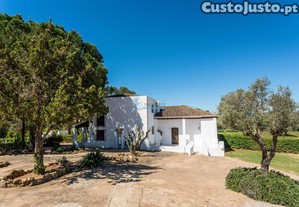 imagem_6