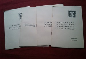 imagem_6