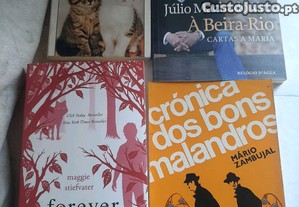 imagem_8