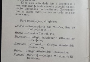 imagem_8