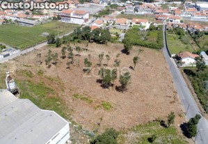 Terreno Para Construção Com 8.787 M2 - Arcozelo...