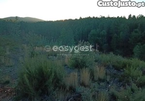 Terreno Rustico Na Encosta Da Serra Da Gardunha...