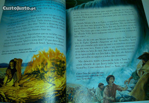 imagem_6