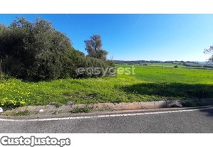 Terreno Com 5600 Metros Quadrados Em Limites De...