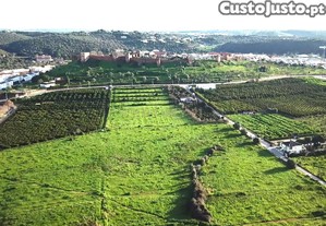 Dois Terrenos com Vista Panorâmica para o Castelo de Silves e Potencial de Construção!