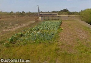 Terreno em Torreira de 580,00 m²
