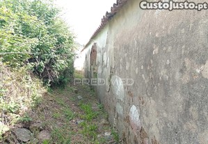 imagem_18