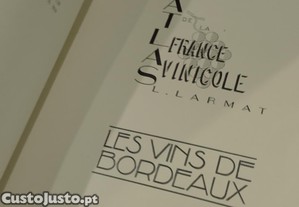 imagem_3
