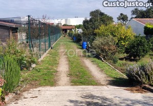 Terreno Para Construção Com 2020 M² No Castelo...