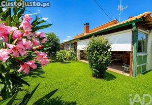 imagem_22