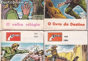 imagem_1