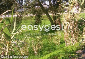 Lote De Terreno Urbano Com 253M2 Para Moradia -...