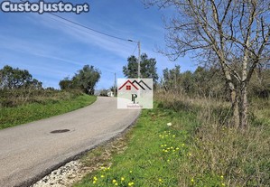imagem_13