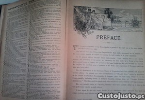 imagem_3