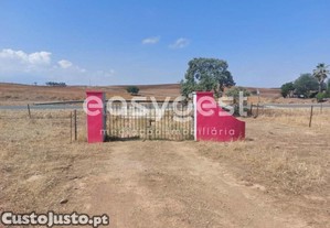 Terreno Rústico Com 34.750M2 Localizado Na...