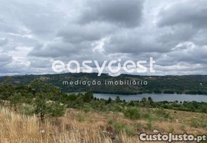 Terrenos Agrícolas De 12919 M2 Com Castanheiros...
