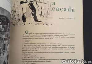 imagem_6