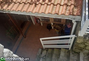 imagem_14
