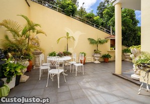 imagem_8