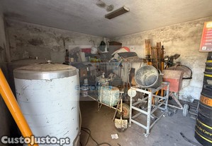 imagem_13