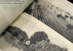 imagem_8