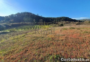 imagem_3
