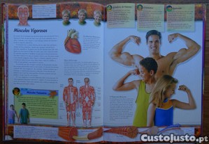 imagem_5