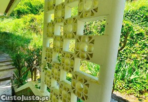 imagem_32