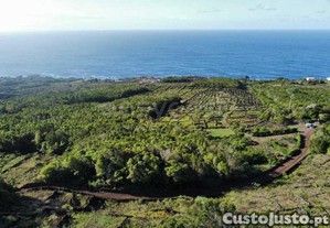 Terreno Em Zona Tpica Da Ilha Do Pico Com...