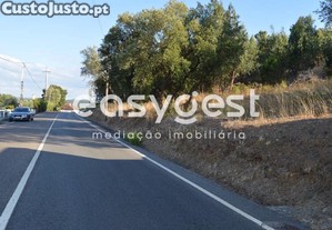 Terreno Com 1 Ha Junto Aos Acessos Da A23 Em...