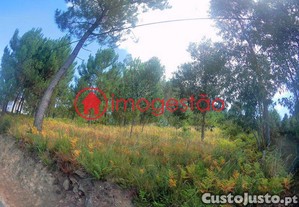 imagem_6