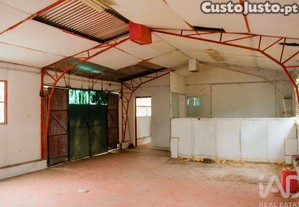 imagem_12