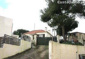 imagem_16