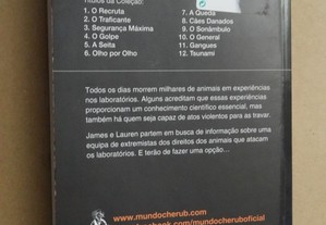 imagem_4