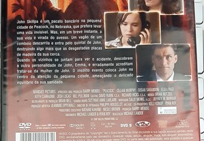 imagem_5