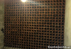 imagem_1