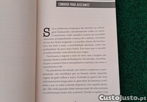 imagem_5