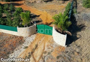 imagem_5