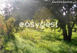 Lote De Terreno Urbano 253M2 Para Moradia -...