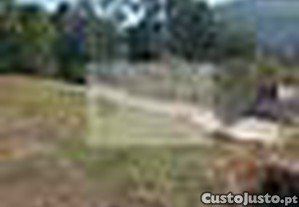 imagem_11