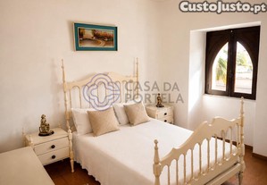 imagem_24