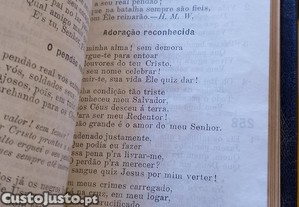 imagem_3