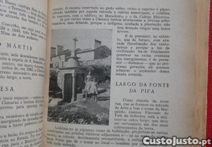 imagem_6