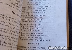 imagem_4